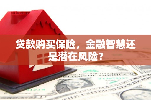 昂昂溪贷款购买保险，金融智慧还是潜在风险？