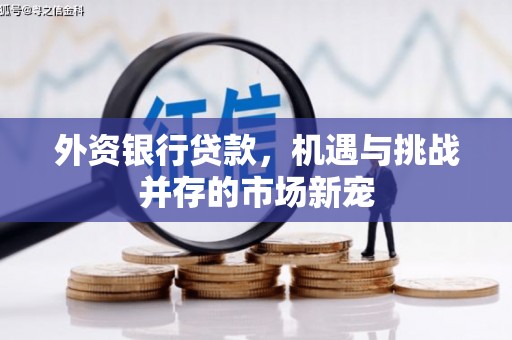 昂昂溪外资银行贷款，机遇与挑战并存的市场新宠