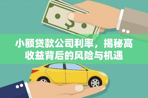 昂昂溪小额贷款公司利率，揭秘高收益背后的风险与机遇