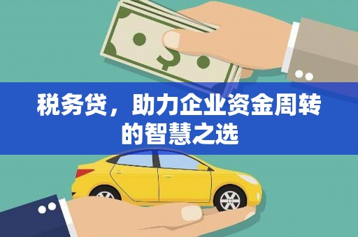 昂昂溪税务贷，助力企业资金周转的智慧之选
