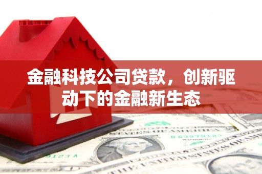 昂昂溪金融科技公司贷款，创新驱动下的金融新生态