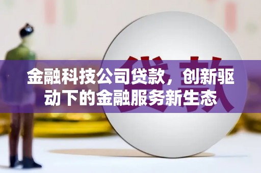 昂昂溪金融科技公司贷款，创新驱动下的金融服务新生态