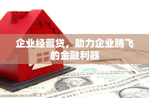 昂昂溪企业经营贷，助力企业腾飞的金融利器