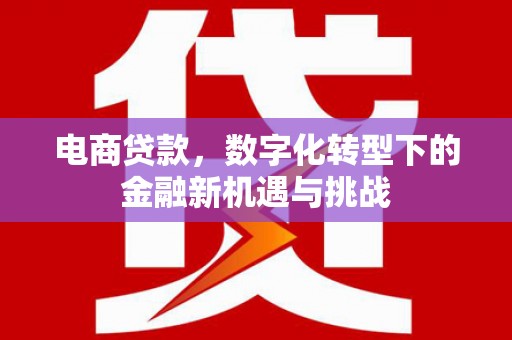 昂昂溪电商贷款，数字化转型下的金融新机遇与挑战