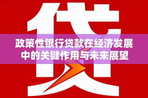 昂昂溪政策性银行贷款在经济发展中的关键作用与未来展望