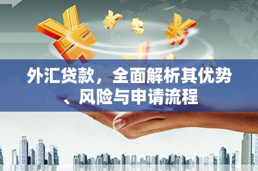 昂昂溪外汇贷款，全面解析其优势、风险与申请流程