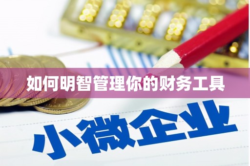 昂昂溪如何明智管理你的财务工具