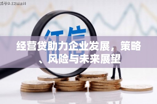 昂昂溪经营贷助力企业发展，策略、风险与未来展望