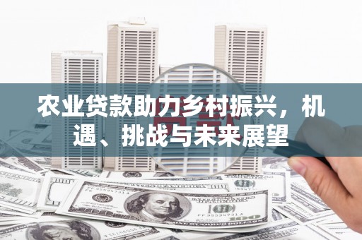 昂昂溪农业贷款助力乡村振兴，机遇、挑战与未来展望