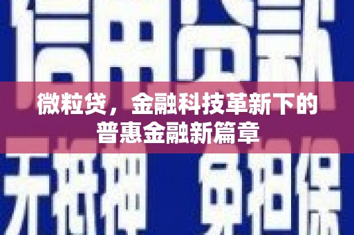 昂昂溪微粒贷，金融科技革新下的普惠金融新篇章