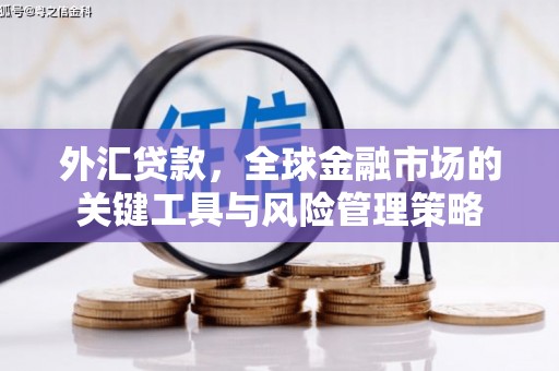 昂昂溪外汇贷款，全球金融市场的关键工具与风险管理策略