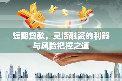昂昂溪短期贷款，灵活融资的利器与风险把控之道