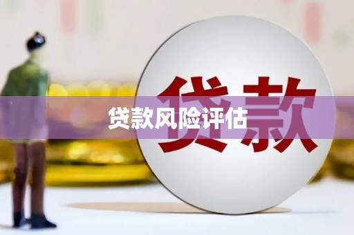 昂昂溪贷款风险评估