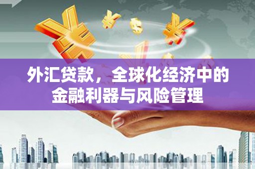 昂昂溪外汇贷款，全球化经济中的金融利器与风险管理