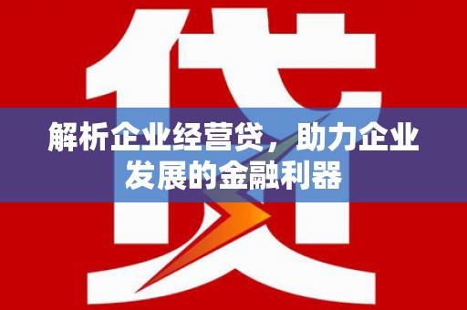 昂昂溪解析企业经营贷，助力企业发展的金融利器