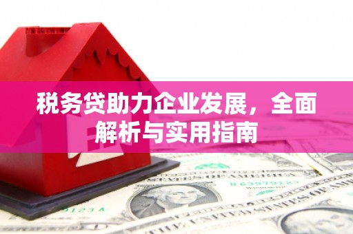 昂昂溪税务贷助力企业发展，全面解析与实用指南