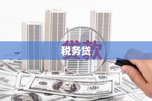 昂昂溪税务贷