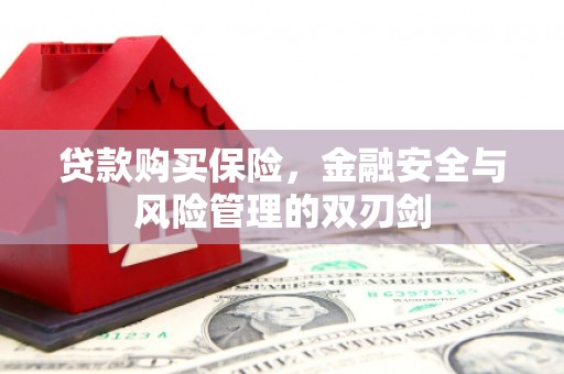 昂昂溪贷款购买保险，金融安全与风险管理的双刃剑