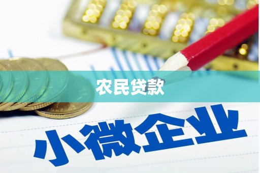 昂昂溪农民贷款