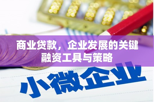 昂昂溪商业贷款，企业发展的关键融资工具与策略