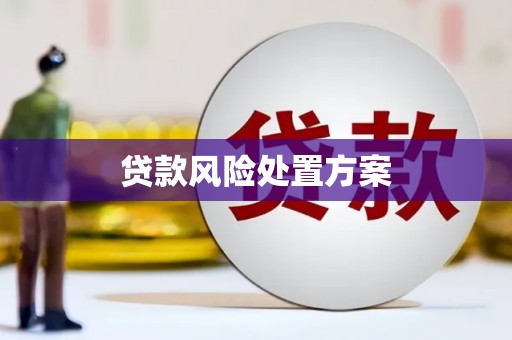 昂昂溪贷款风险处置方案
