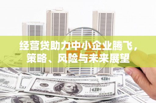 昂昂溪经营贷助力中小企业腾飞，策略、风险与未来展望