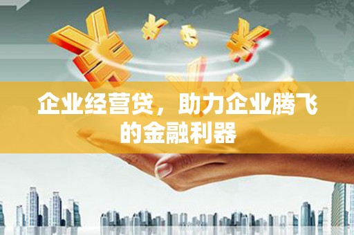 昂昂溪企业经营贷，助力企业腾飞的金融利器