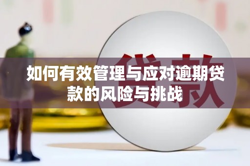 昂昂溪如何有效管理与应对逾期贷款的风险与挑战