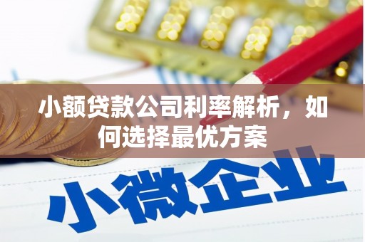 昂昂溪小额贷款公司利率解析，如何选择最优方案