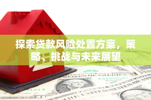 昂昂溪探索贷款风险处置方案，策略、挑战与未来展望