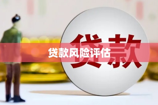 昂昂溪贷款风险评估