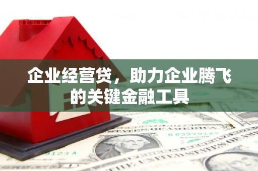 昂昂溪企业经营贷，助力企业腾飞的关键金融工具