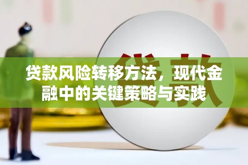 昂昂溪贷款风险转移方法，现代金融中的关键策略与实践