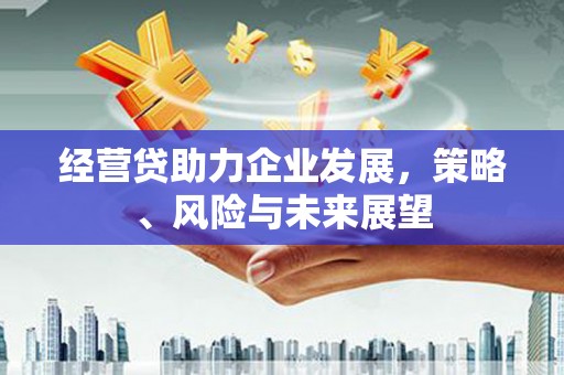 昂昂溪经营贷助力企业发展，策略、风险与未来展望
