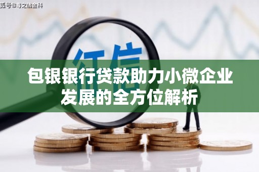 昂昂溪包银银行贷款助力小微企业发展的全方位解析 昂昂溪包银银行贷款助力小微企业发展的全方位解析