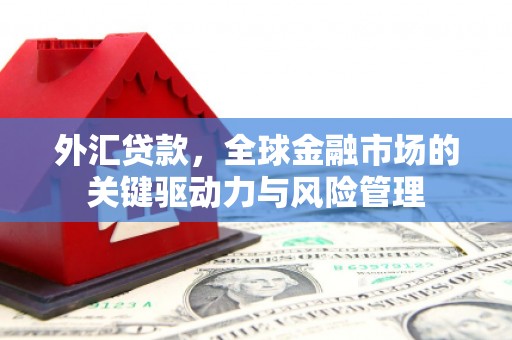 昂昂溪外汇贷款，全球金融市场的关键驱动力与风险管理