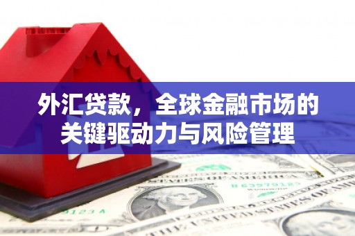 昂昂溪外汇贷款，全球金融市场的关键驱动力与风险管理