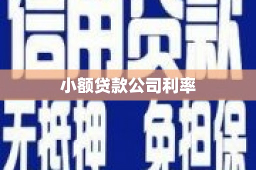 昂昂溪小额贷款公司利率
