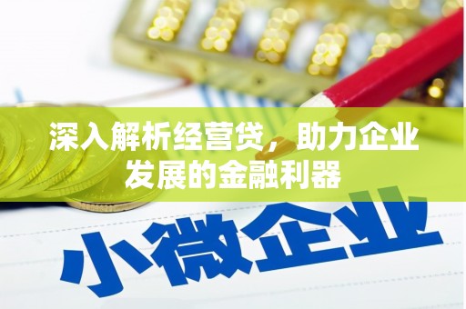 昂昂溪深入解析经营贷，助力企业发展的金融利器