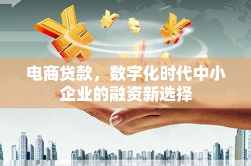 昂昂溪电商贷款，数字化时代中小企业的融资新选择