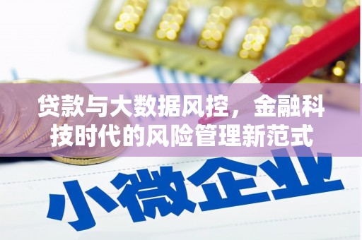 昂昂溪贷款与大数据风控，金融科技时代的风险管理新范式