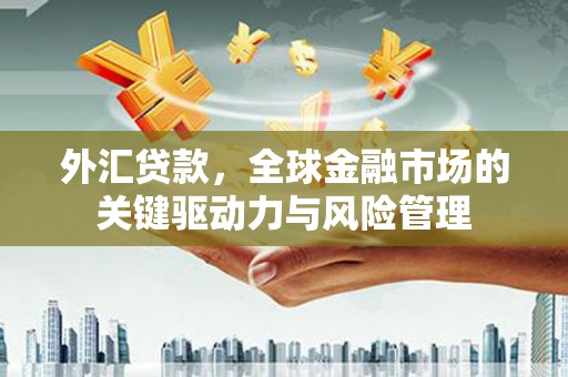 昂昂溪外汇贷款，全球金融市场的关键驱动力与风险管理