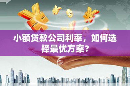 昂昂溪小额贷款公司利率，如何选择最优方案？