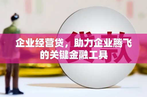 昂昂溪企业经营贷，助力企业腾飞的关键金融工具
