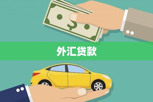昂昂溪外汇贷款