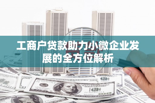 昂昂溪工商户贷款助力小微企业发展的全方位解析