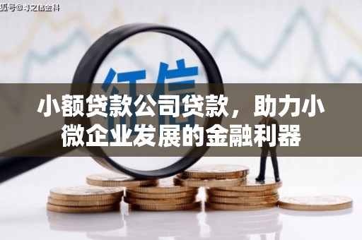 昂昂溪小额贷款公司贷款，助力小微企业发展的金融利器