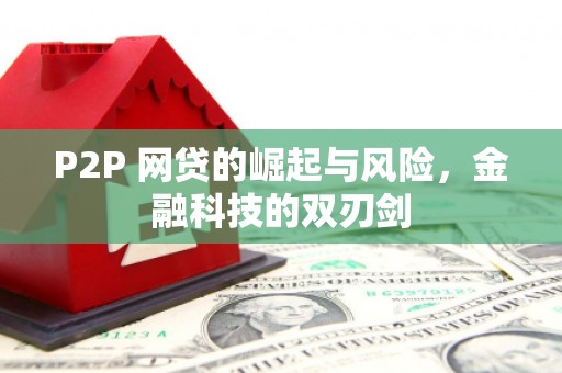 昂昂溪P2P 网贷的崛起与风险，金融科技的双刃剑