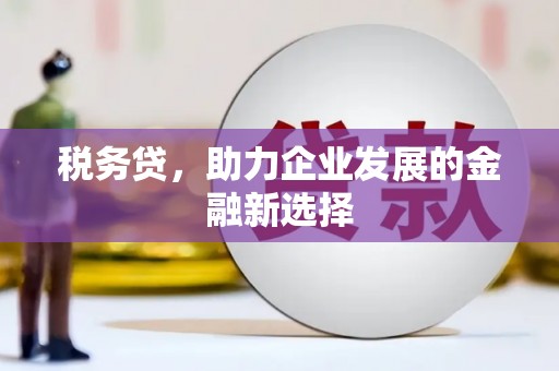 昂昂溪税务贷，助力企业发展的金融新选择