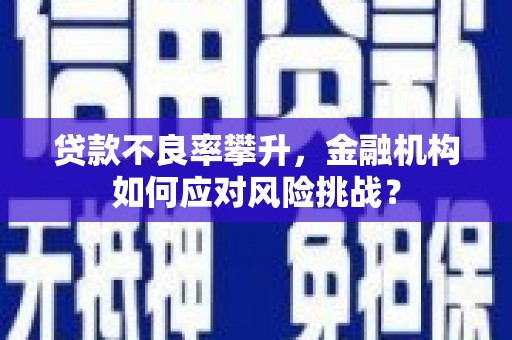 昂昂溪贷款不良率攀升，金融机构如何应对风险挑战？